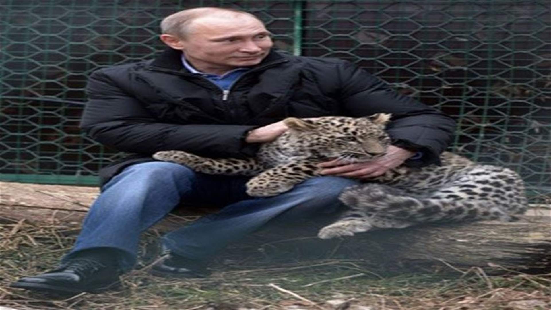 Putin at Olympics, co-starring a Persian leopard