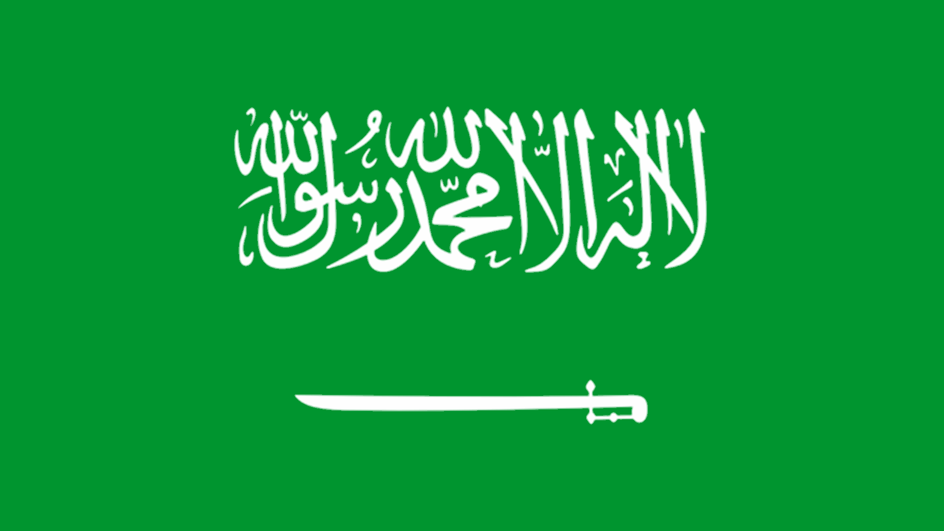 Saudi's top cleric warns against fighting abroad