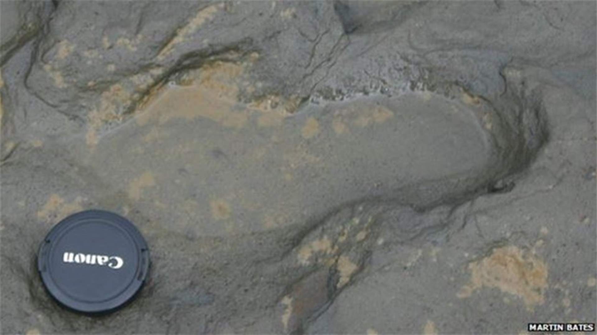 Scientists find 800,000 years old footprints in UK