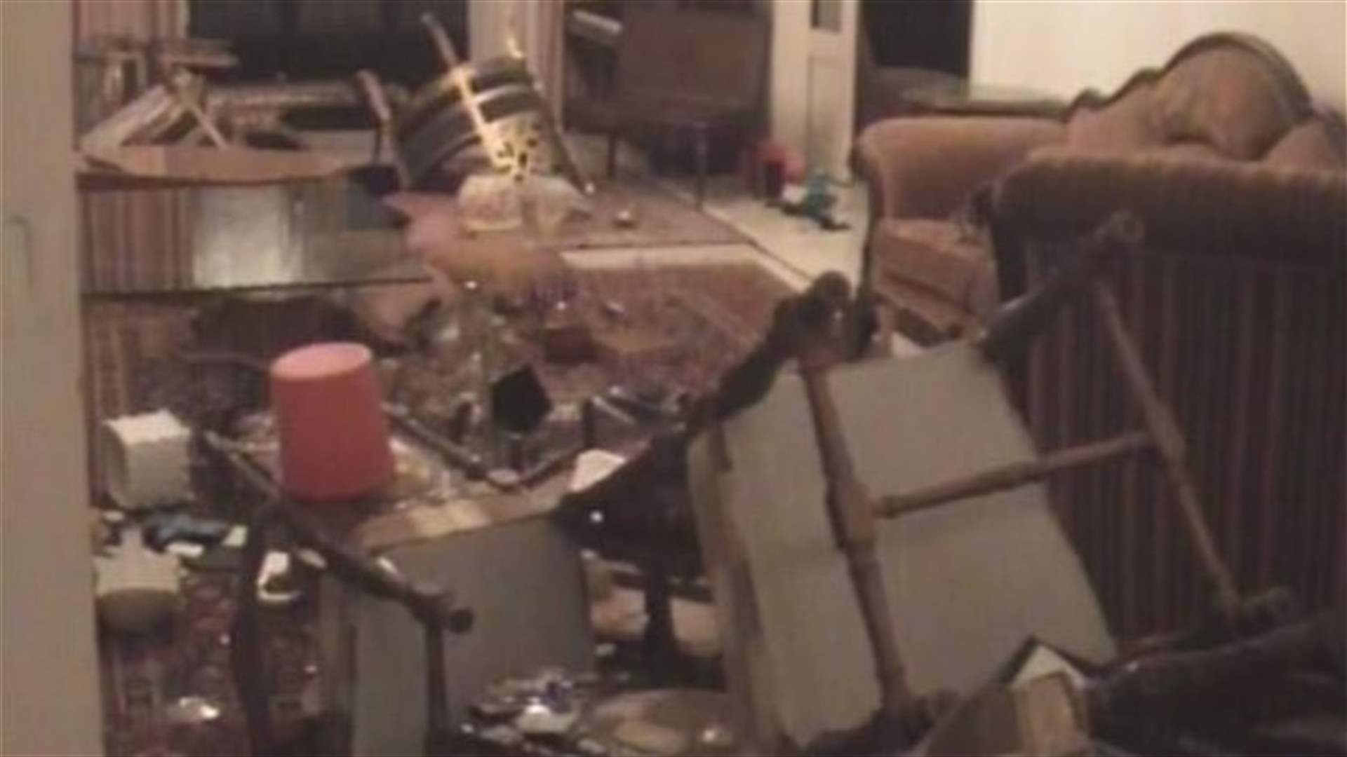 Domestic worker kills employer in Sidon