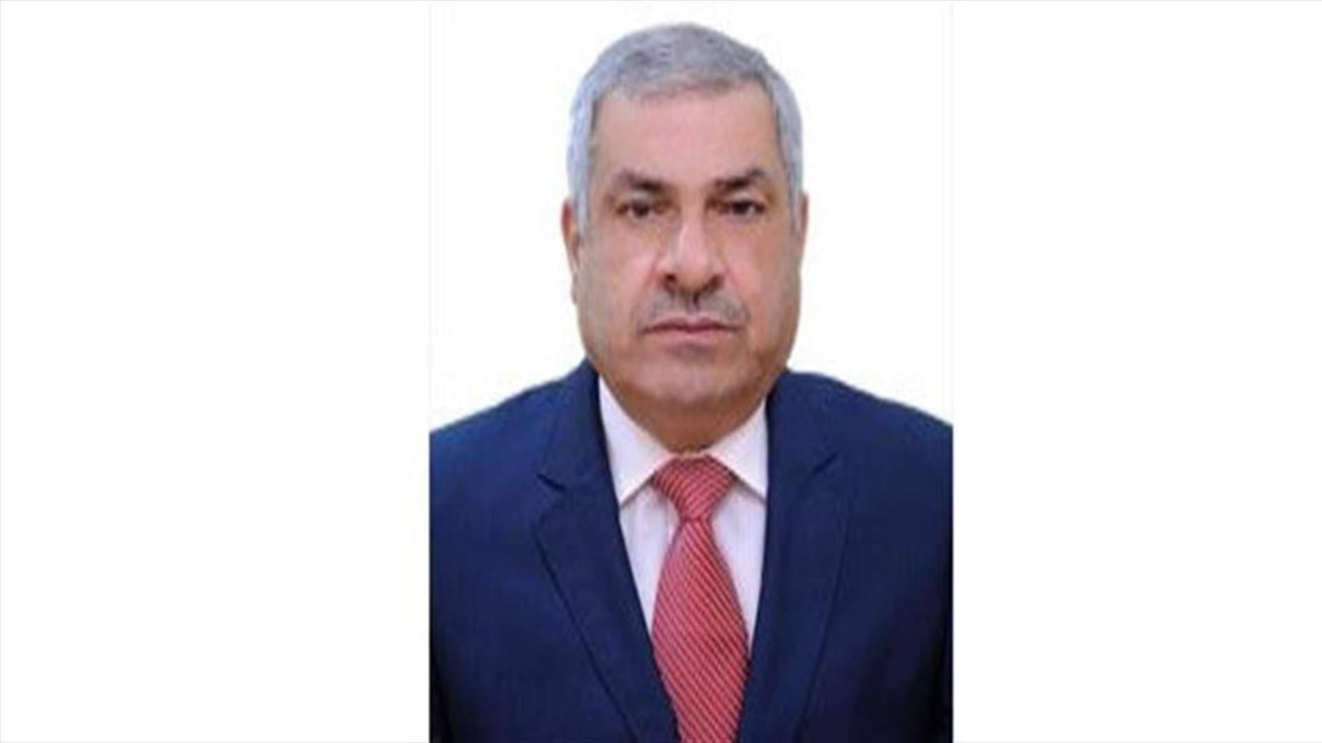 حناوي : كلمة سليمان في الجلسة أمس تشكّل خارطة طريق للحكومة