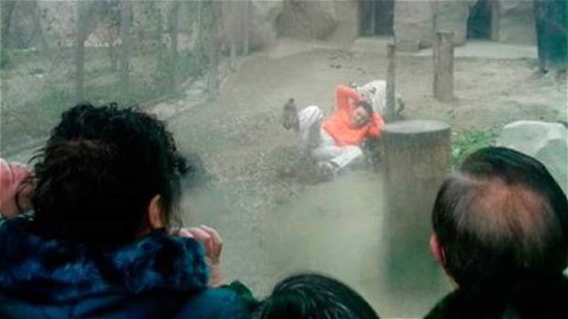 نجا من انياب النمور... باللحظات الاخيرة
