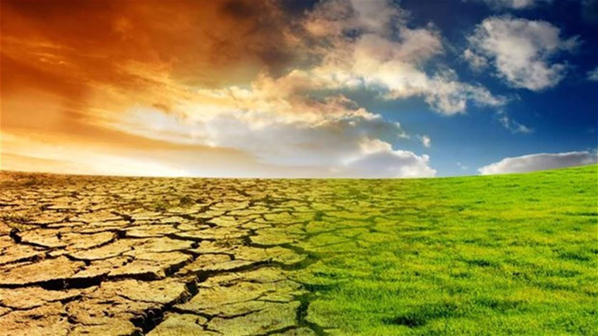 سنة 2014... الأعلى حرارة في التاريخ    