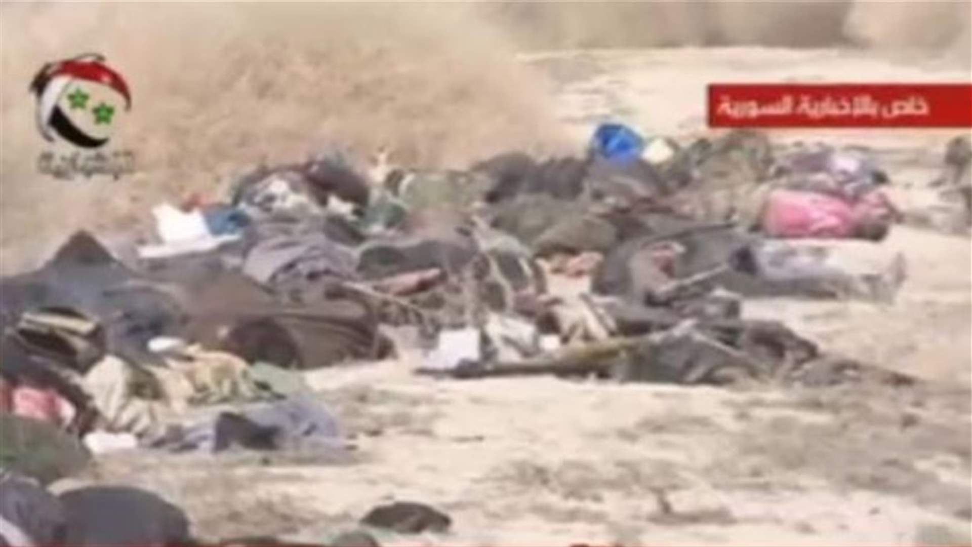 اكثر من 175 قتيلا من مسلحي المعارضة السورية بكمين في الغوطة