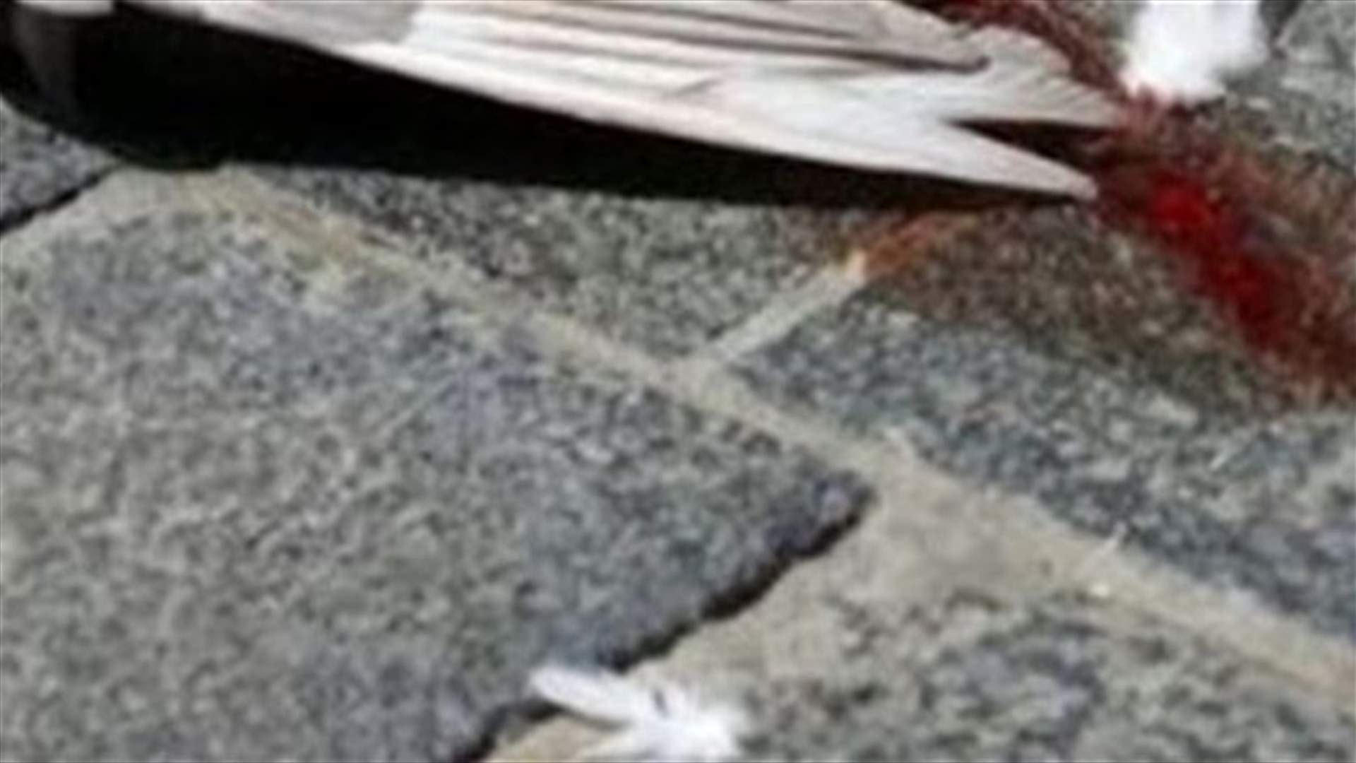 دهستها سيارة تابعة  لموكب نيابي