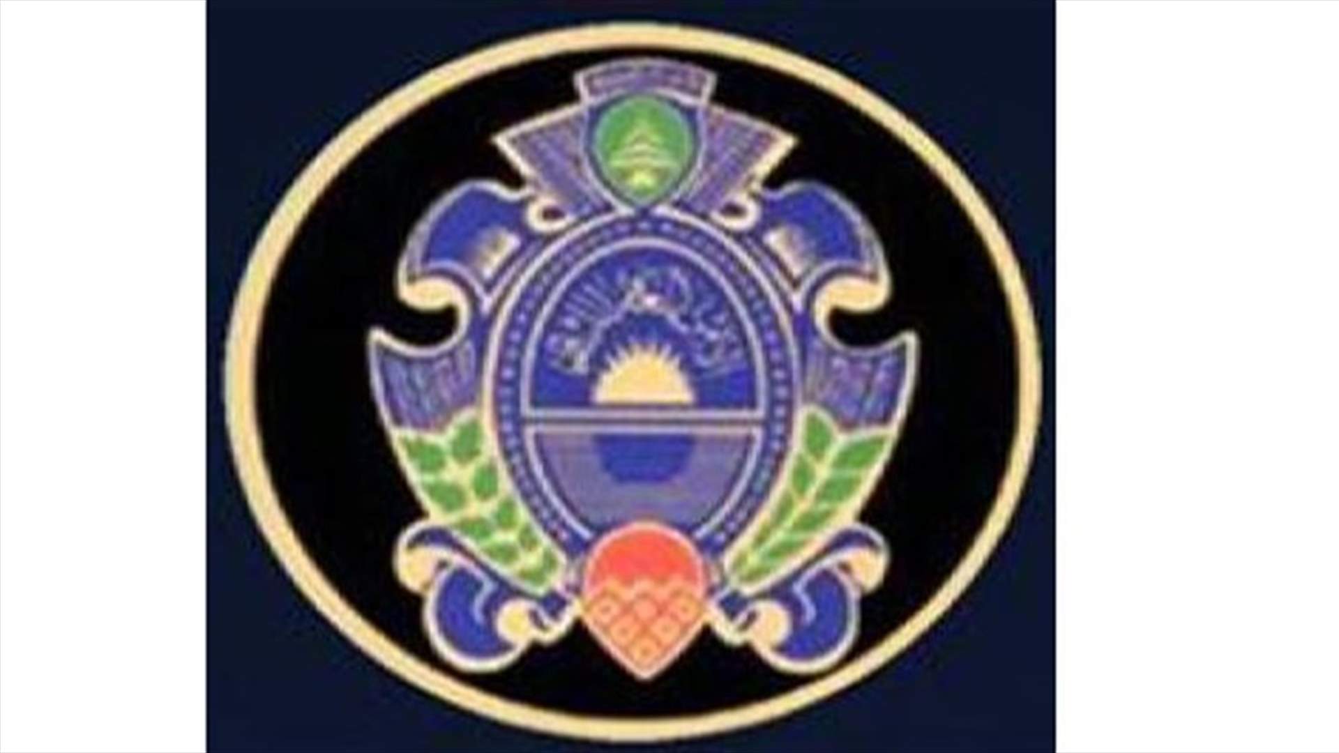 General Security: 5 Syrian nationals admitted they belong to a terrorist network