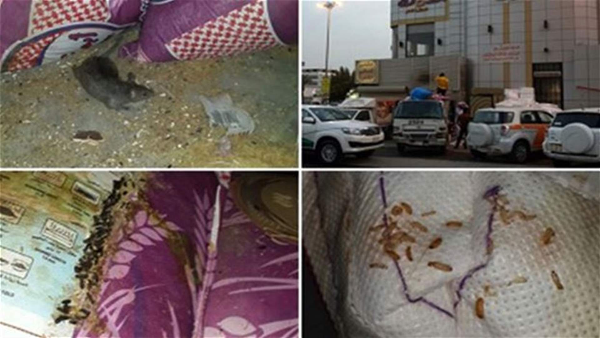 بالصور:  أرزّ ملوث بـ”الفئران” والحشرات في مطعم شهير بمكة