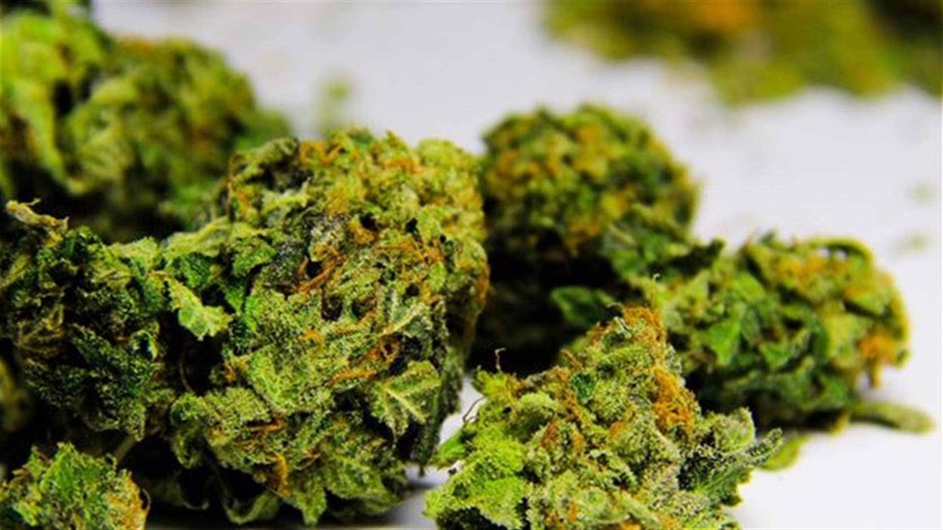 Man goes to police after getting surprise pot shipments 
