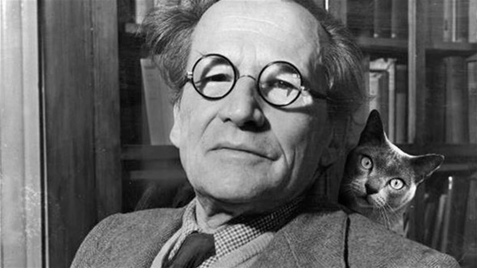 Schrödinger takes a selfie with cat 