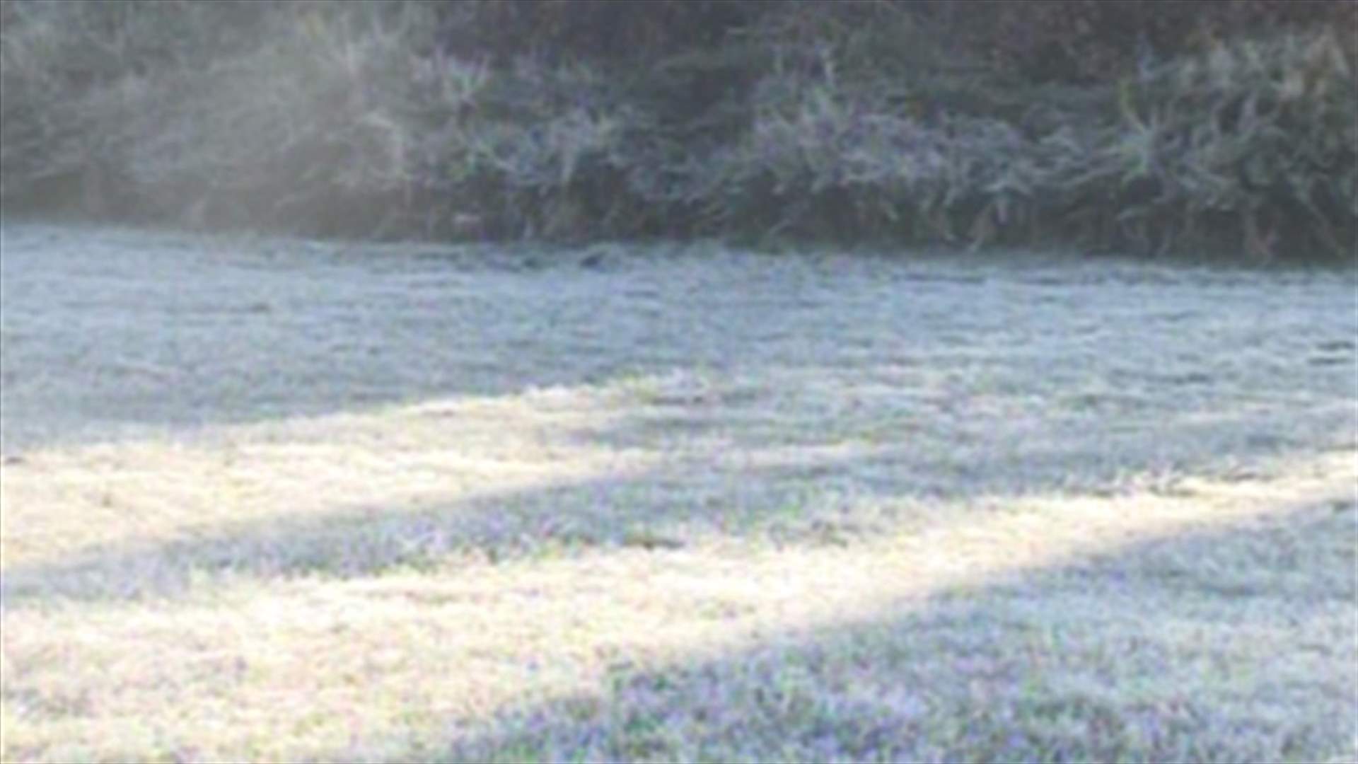 Ice hits Bekaa, kills rodents, ends crops 