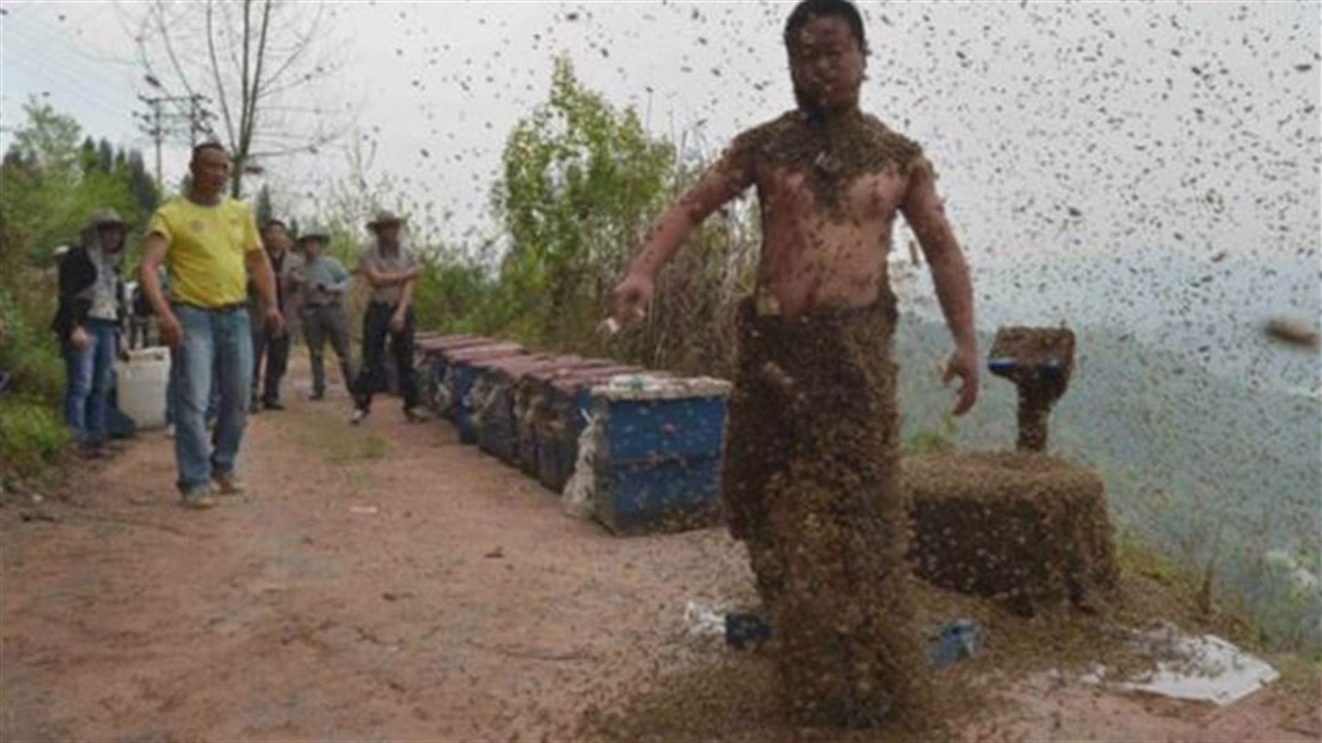 460 ألف نحلة تغطّي جسمه... والنتيجة؟