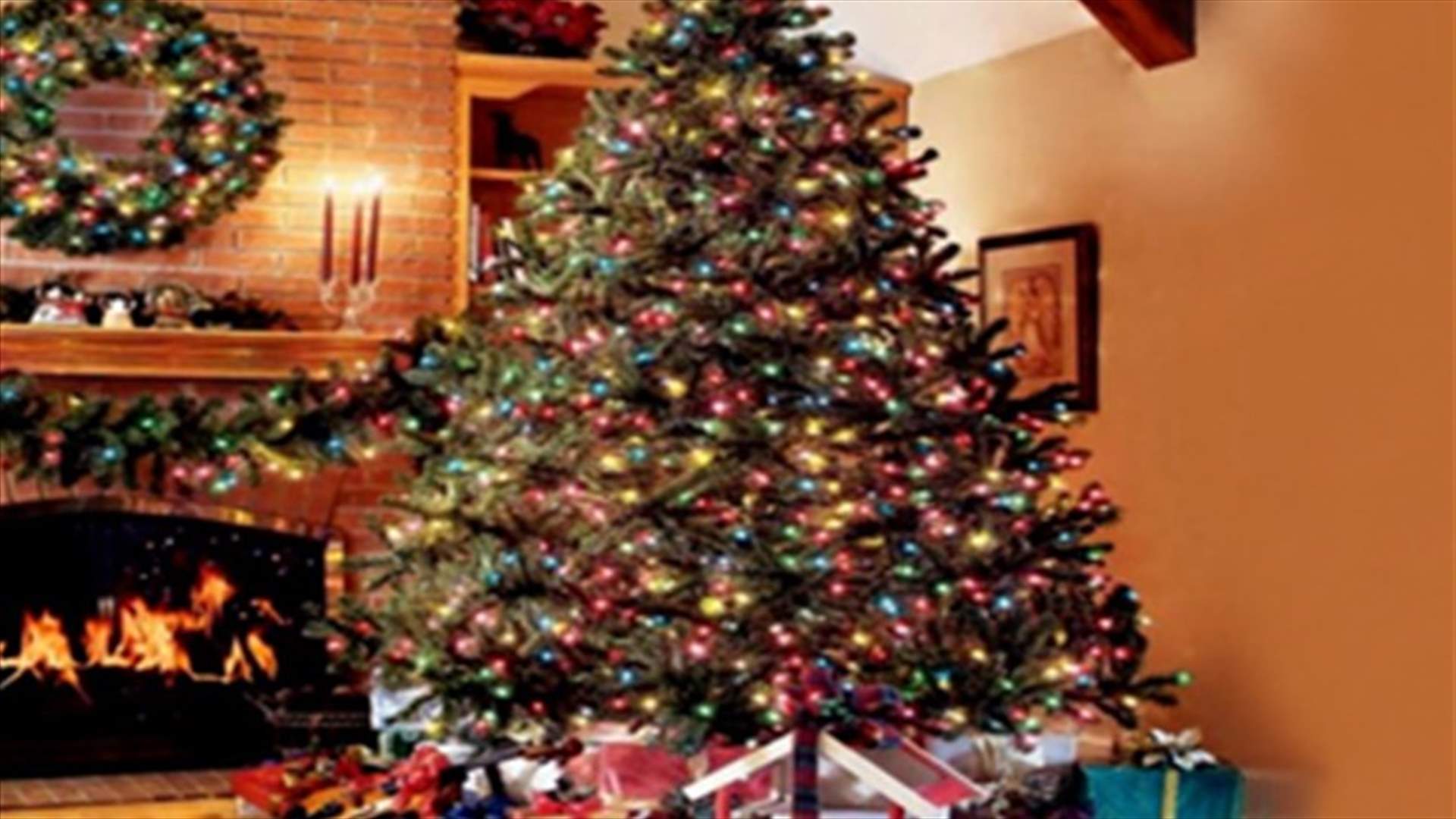 Santa leaves kilos of marijuana under Christmas tree in Italy