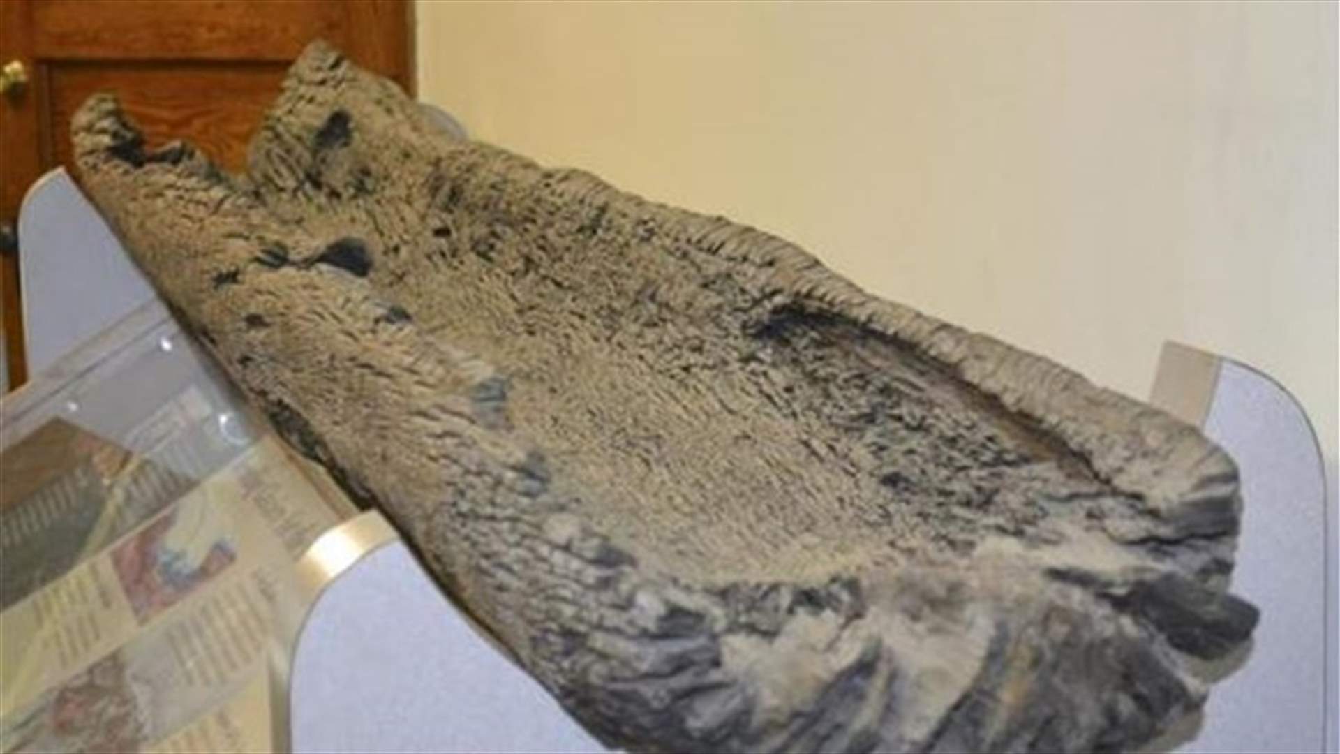 Tiny Minnesota museum's canoe a 1,000-year-old historic find