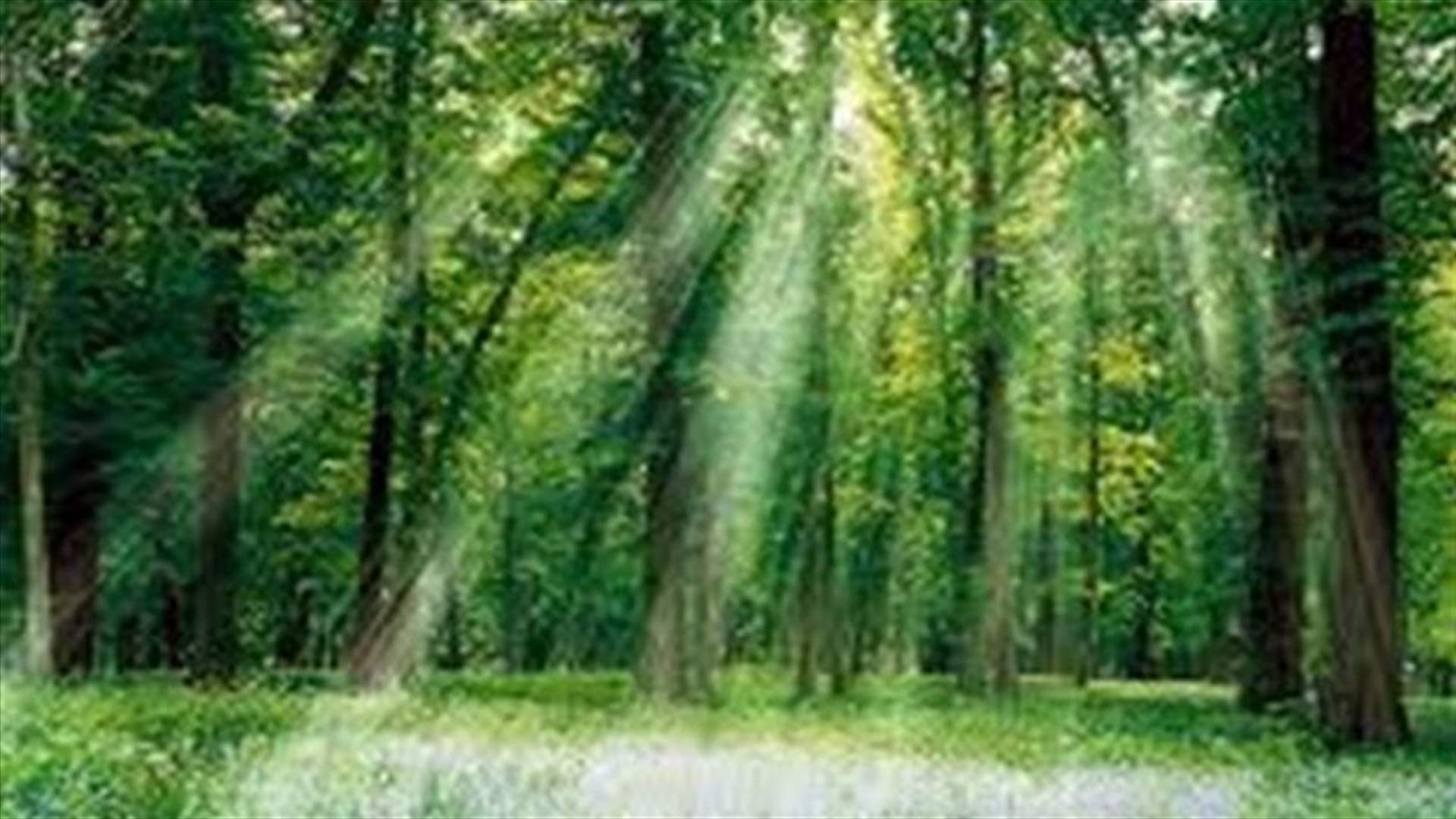 Help scientists record what the Earth sounds like today on Earth Day!