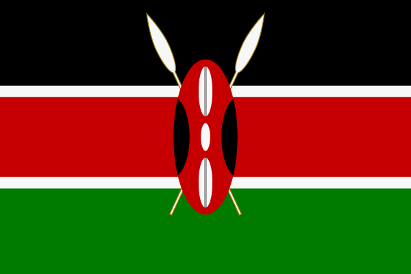 مقتل 4 أشخاص في انفجار سيارة في كينيا