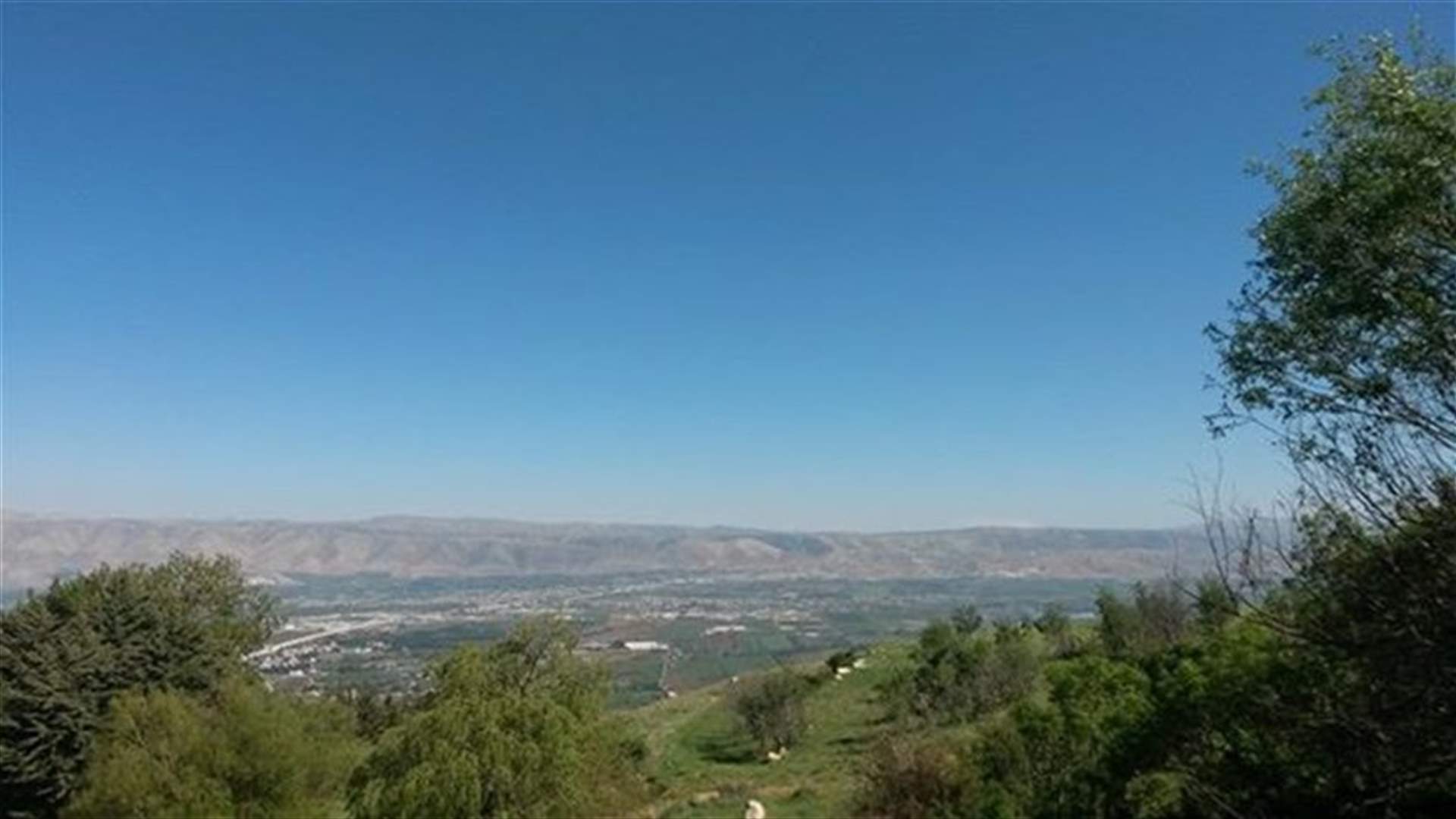 Planting Trees Is The Highest Form Of Prayer – #Lebanon Edition