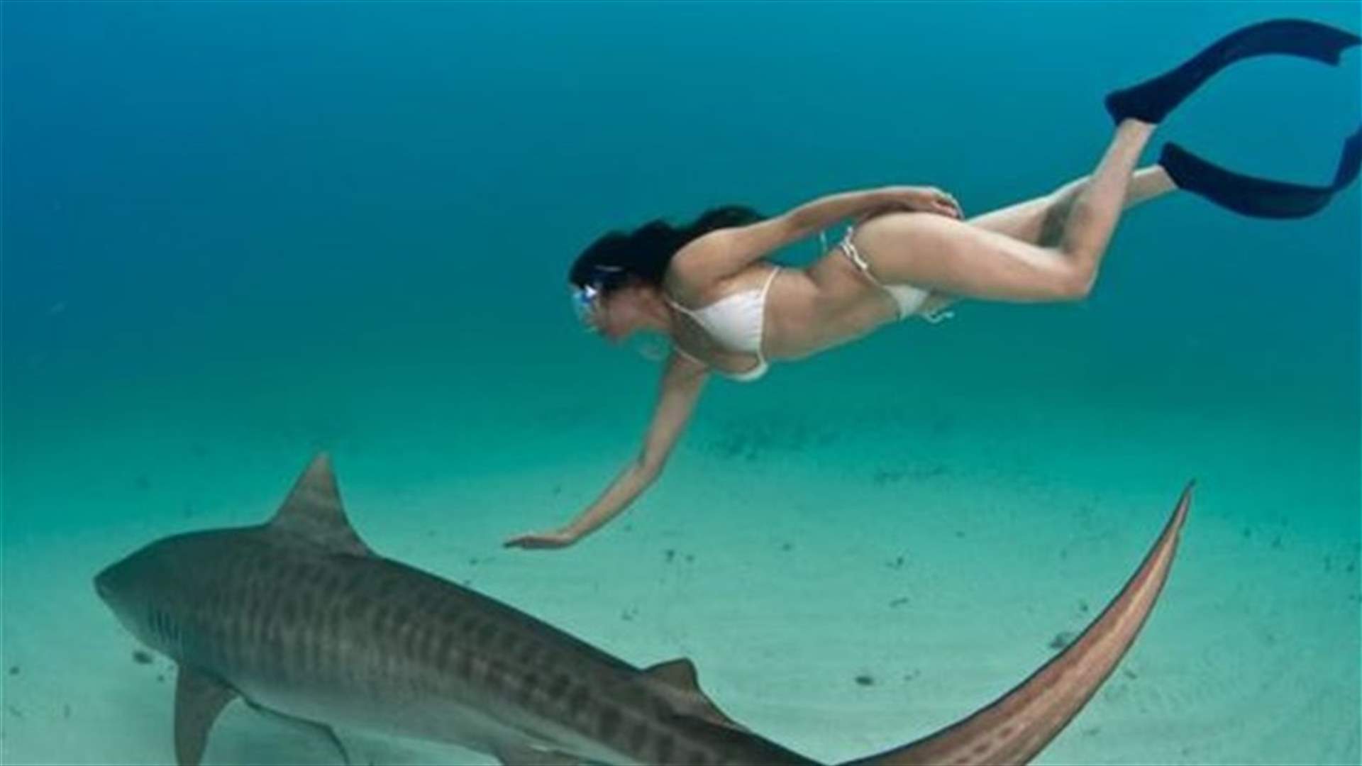 Fearless woman photographed diving naked near sharks for conservation
