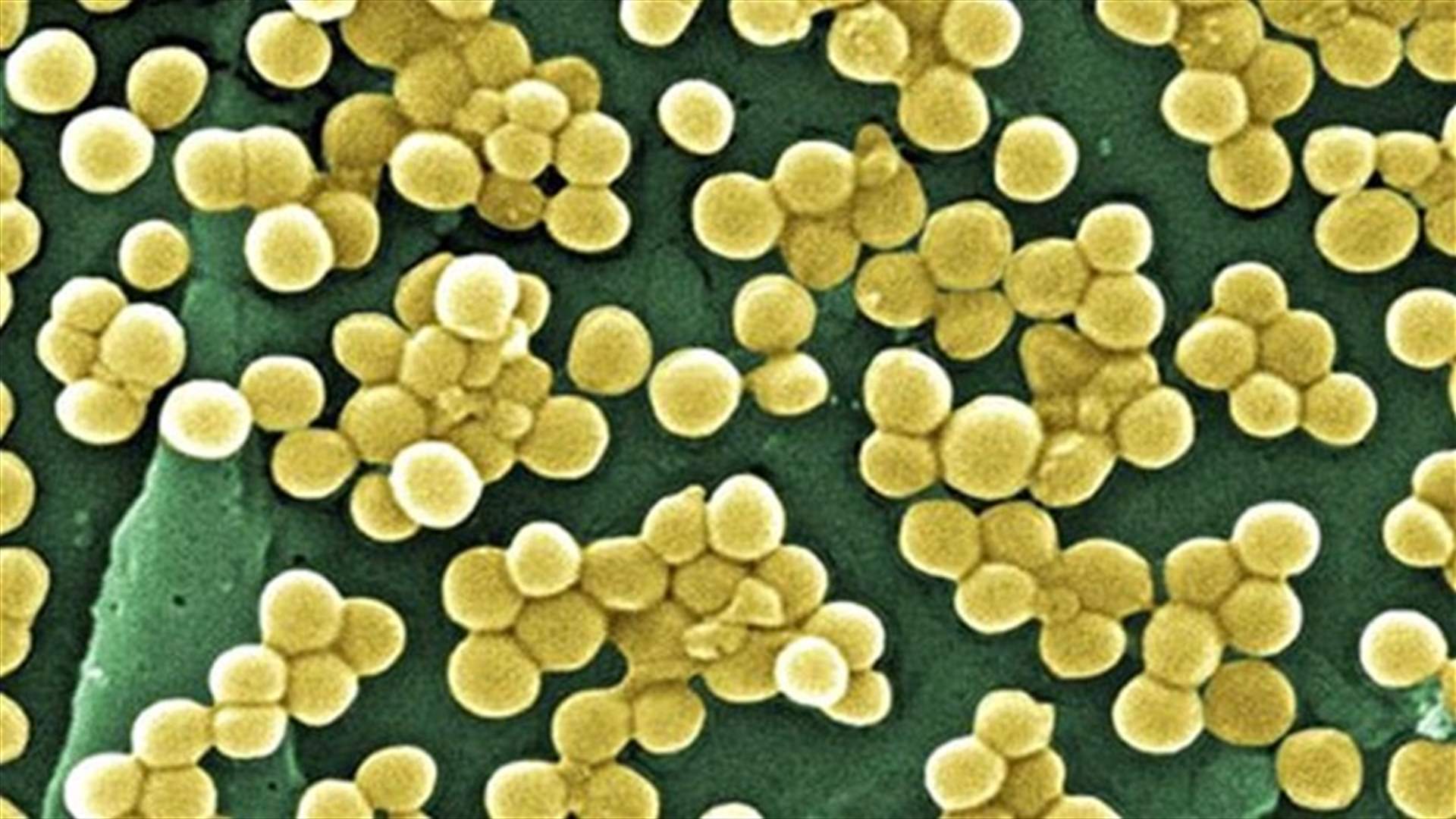 Drug resistant superbugs a serious threat worldwide, says WHO       