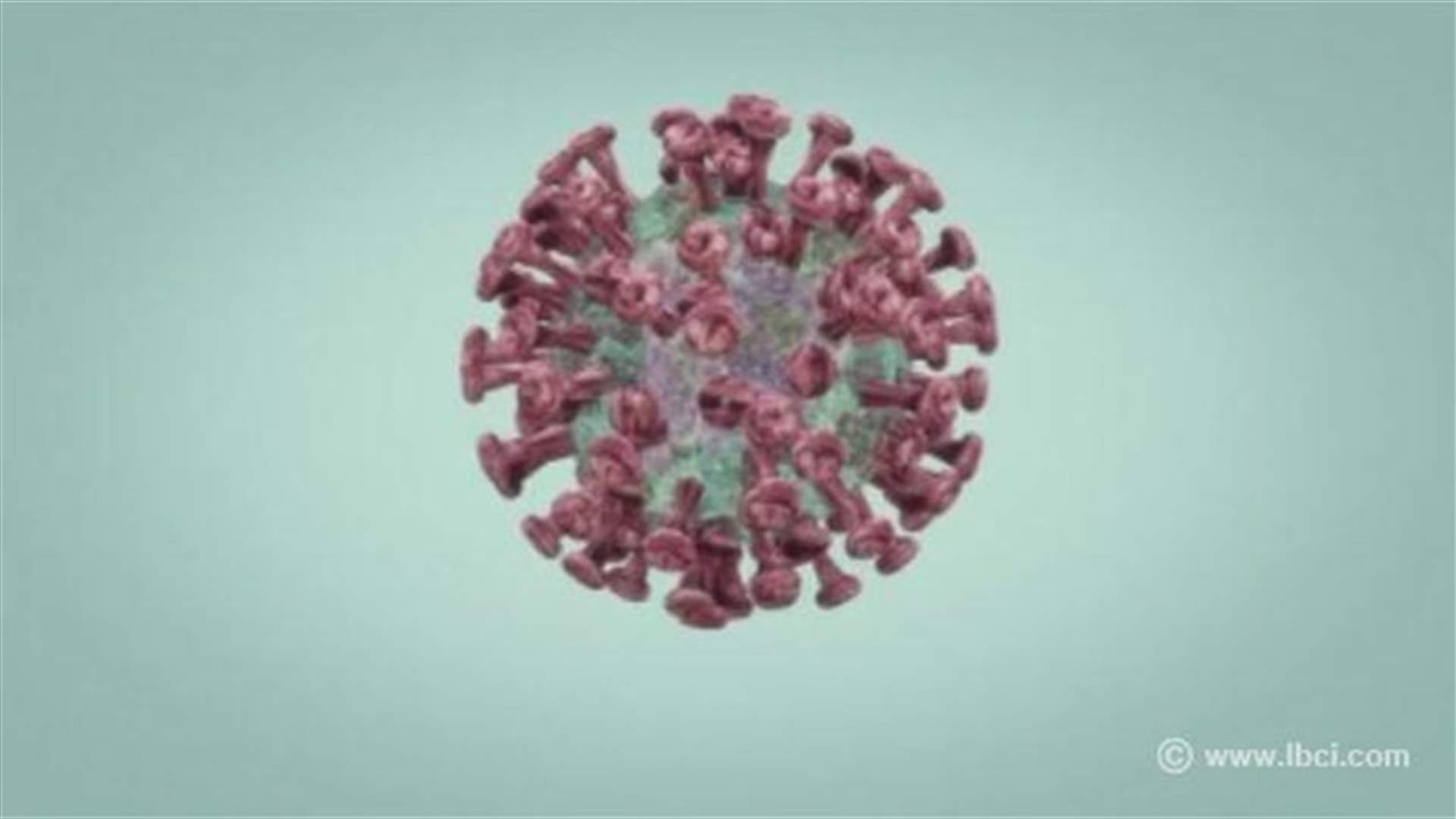 REPORT: Coronavirus: History, symptoms and prevention