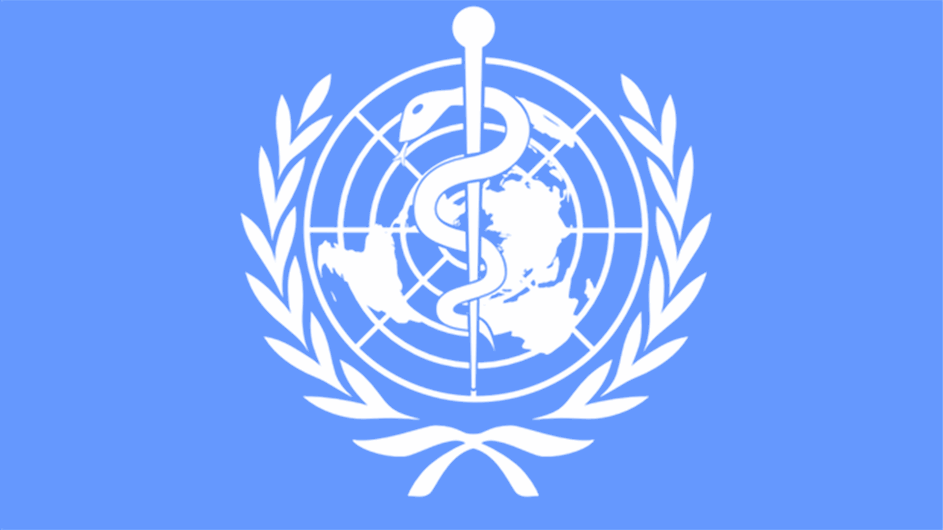 WHO holds emergency meeting on deadly Saudi MERS virus