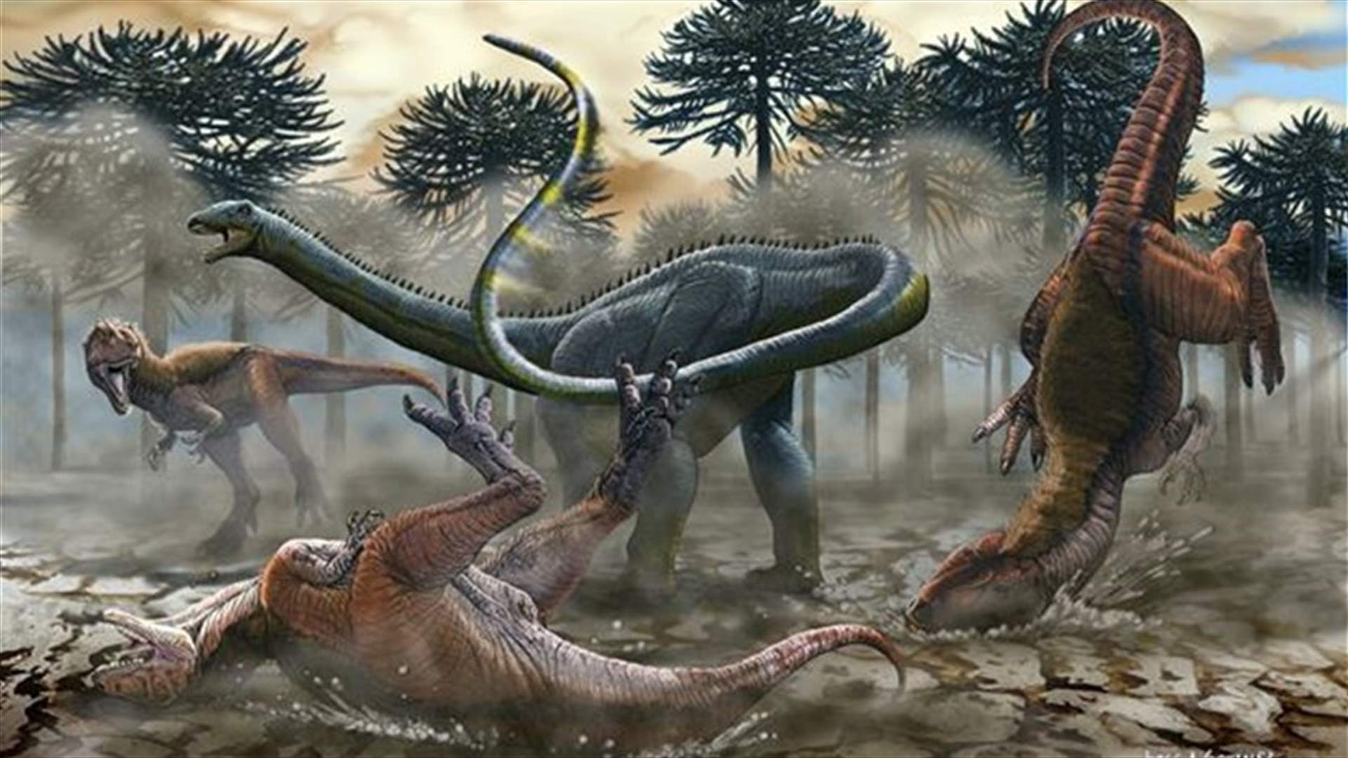 Scientists unearth unique long-necked dinosaur in Argentina