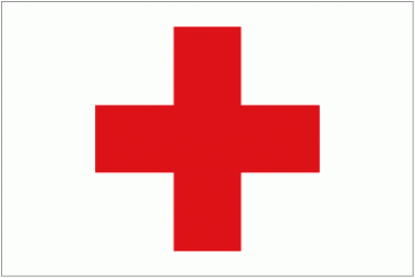 Security forces arrest fake Red Cross volunteers 