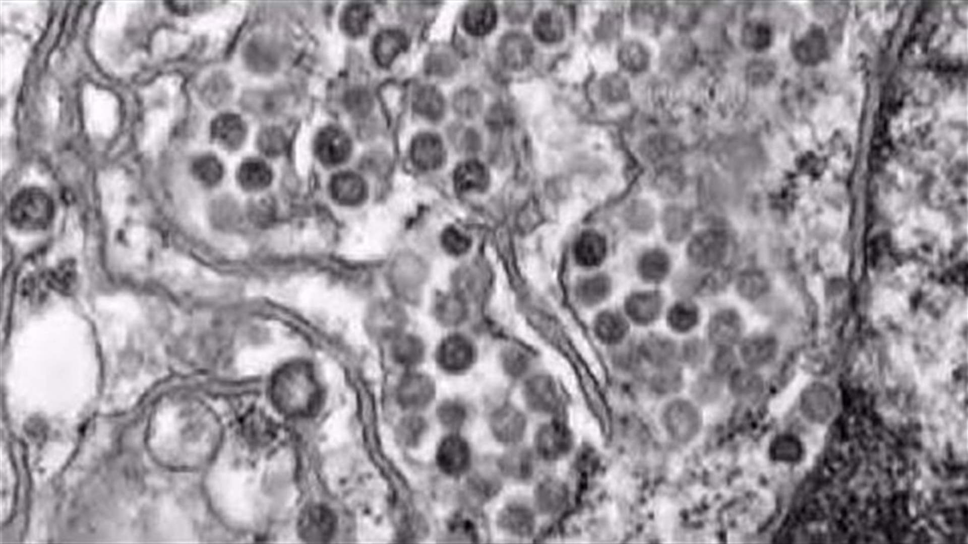 Iran confirms first two cases of MERS
