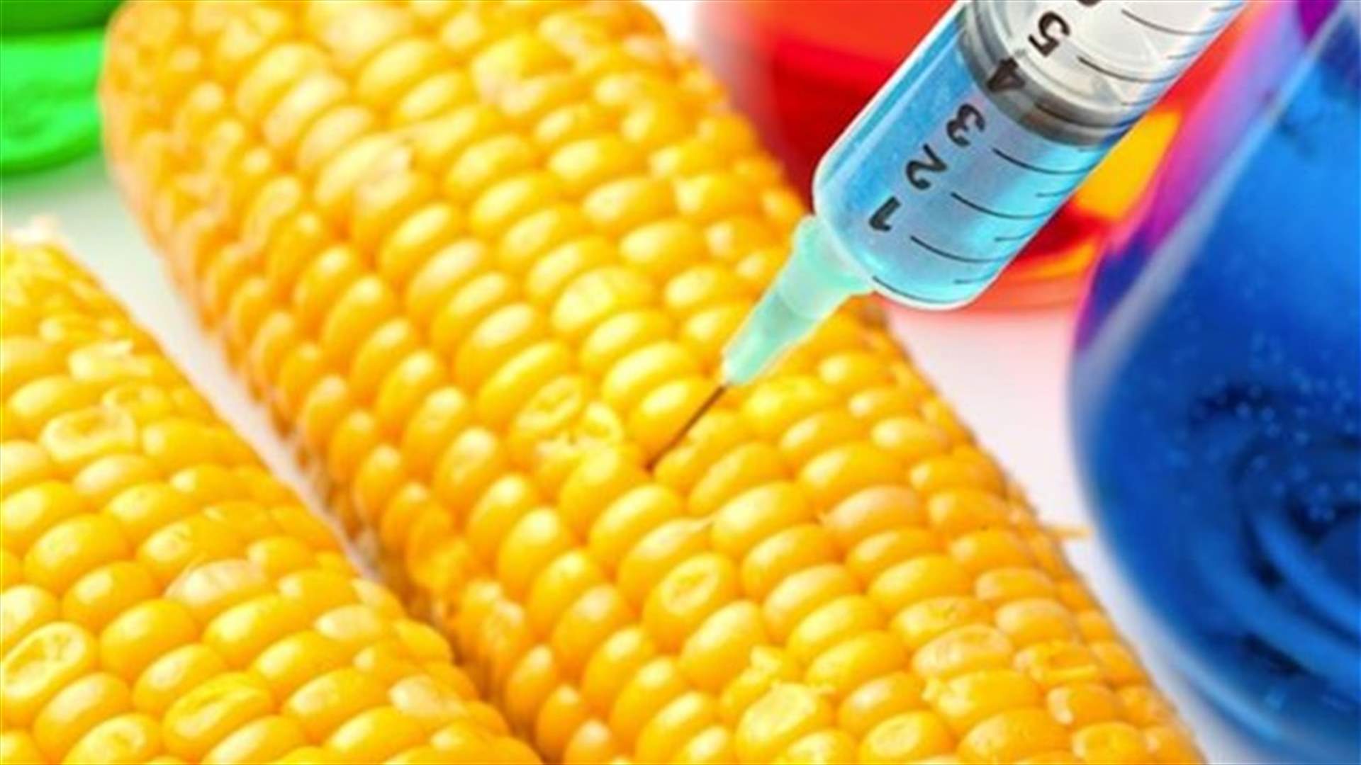 EU member states back compromise to allow GM crops