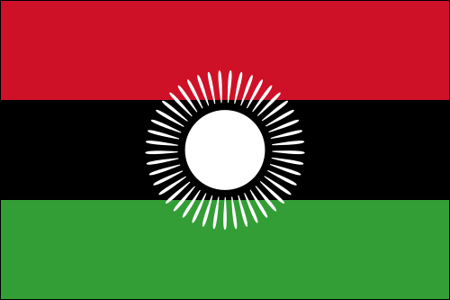 Malawi police fire tear gas, rubber bullets at election protesters