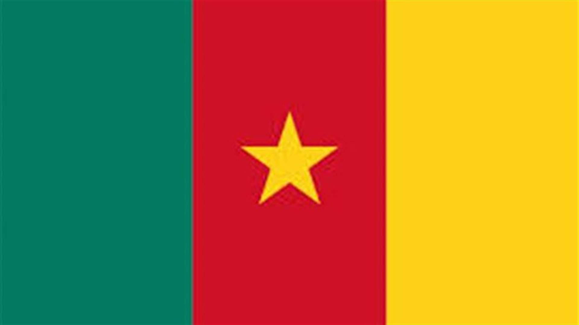 Italian priests and Canadian nun released in Cameroon - minister