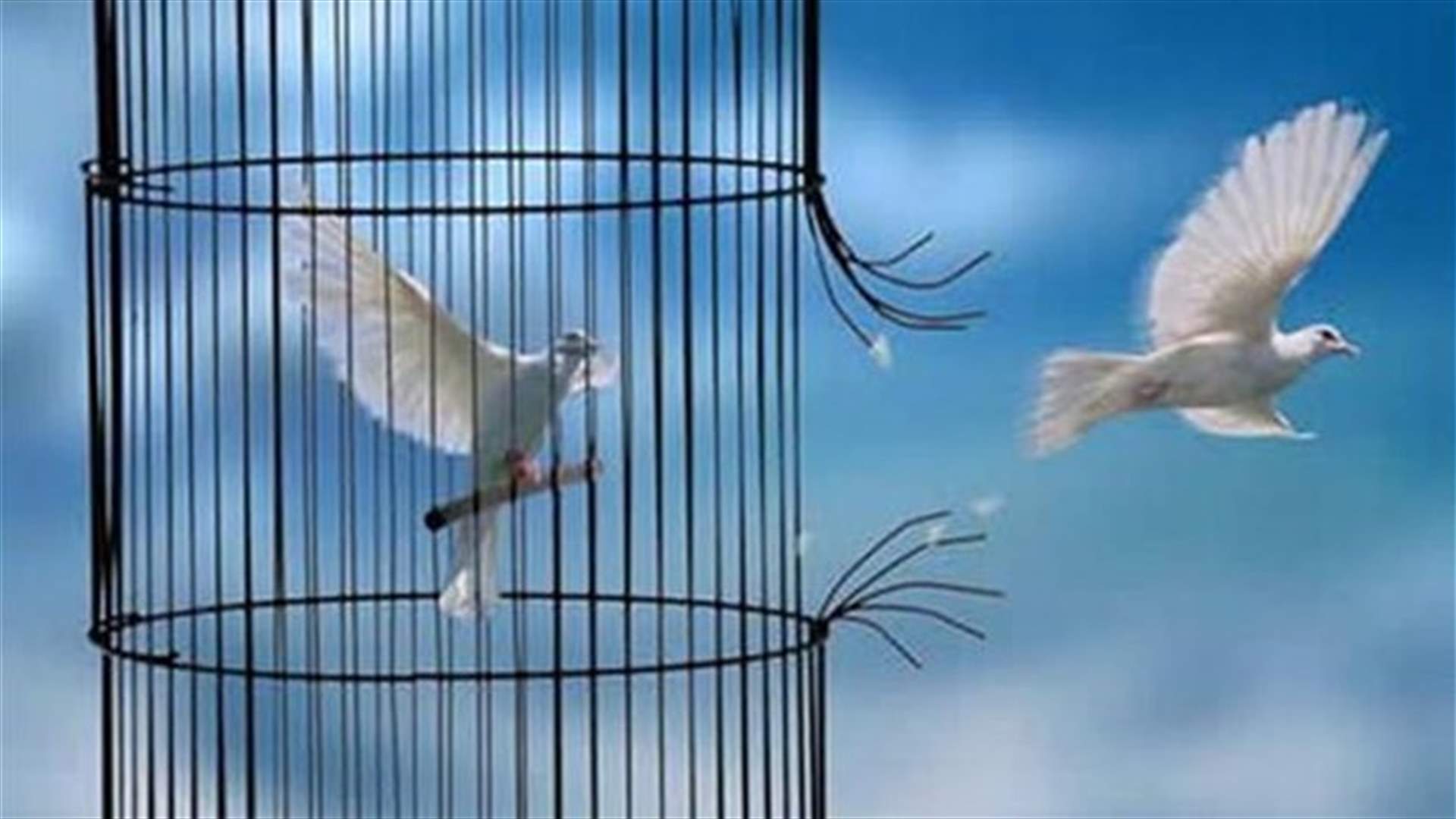 فليكن الشعب حراً