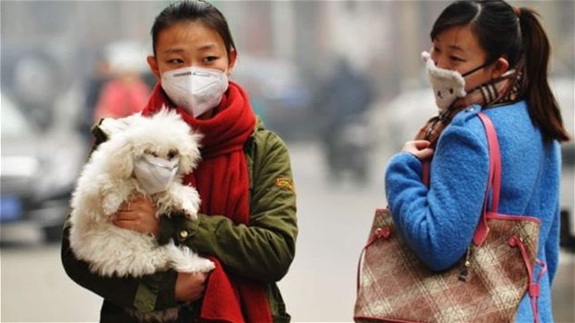 Complaints about air pollution in China's capital double in five months