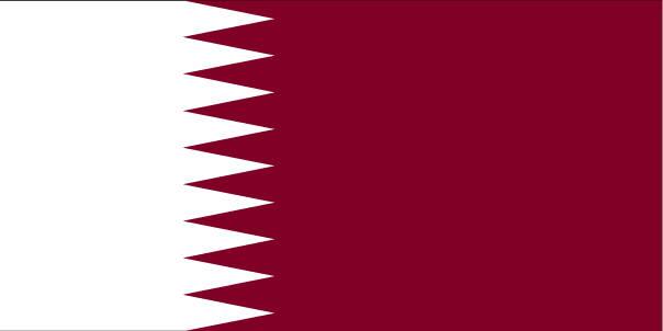 Qatar blames Iraqi government for rebel advance