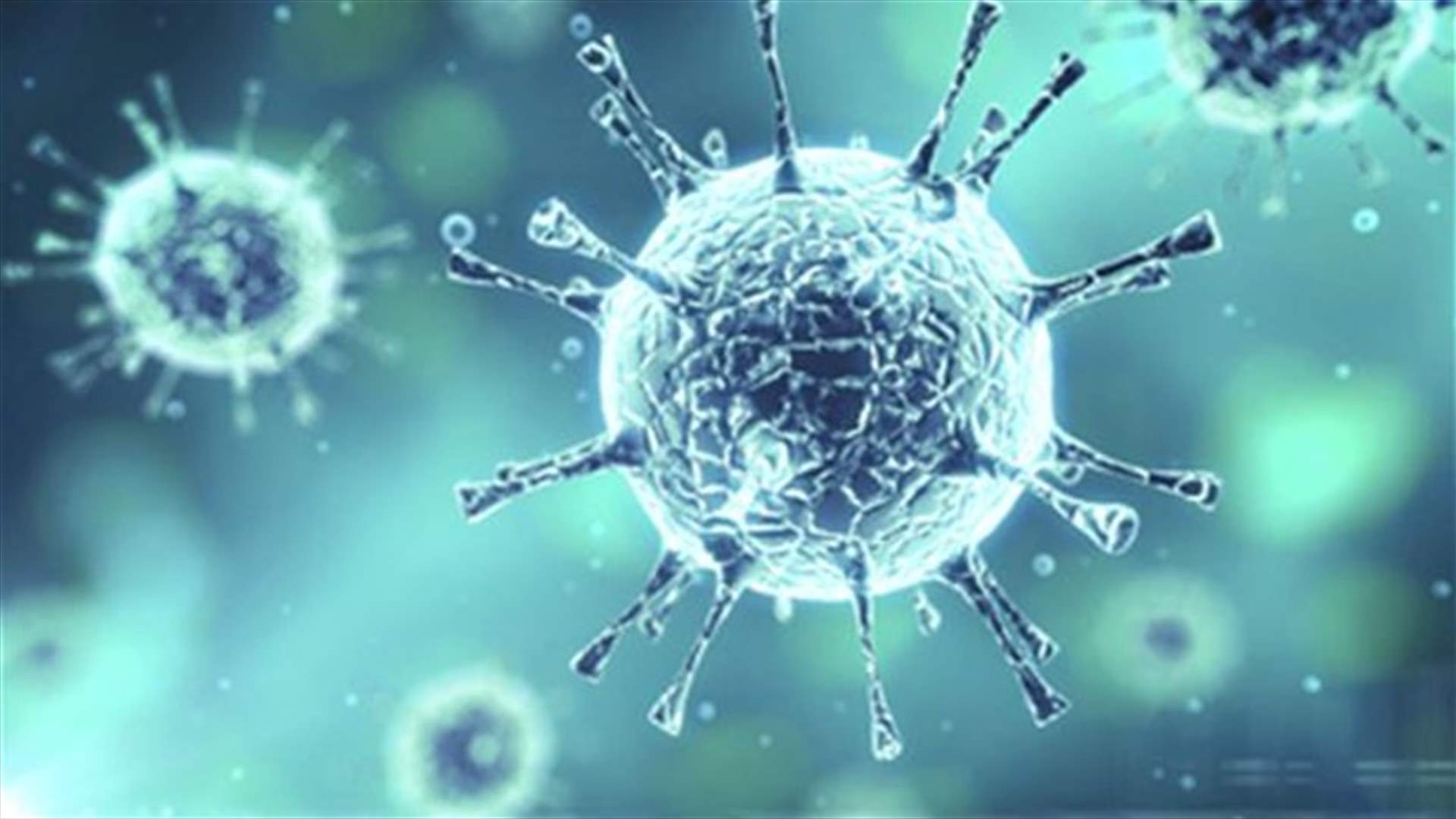 WHO says MERS virus outbreak of concern before haj