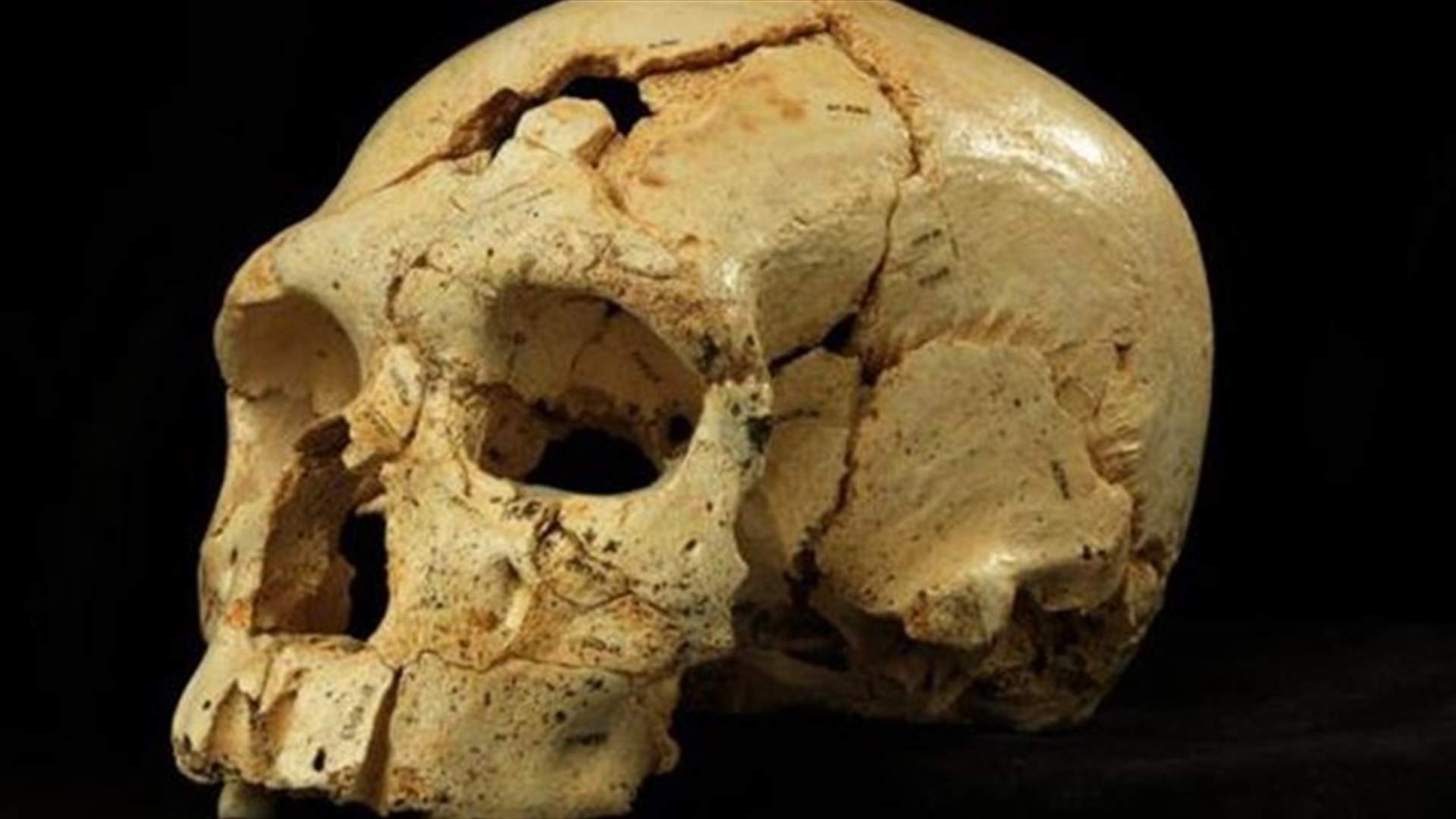 Spanish 'Pit of the Bones' yields 17 remarkable early human  skulls