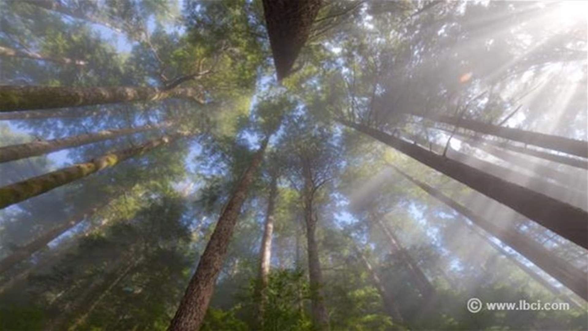 This Time Lapse Will Make You Crave The Great Outdoors!