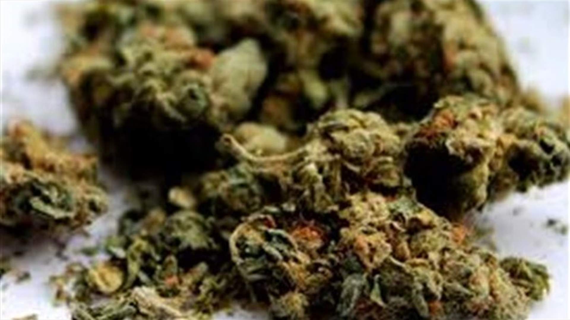 More Americans use cannabis, seeking treatment-UN report