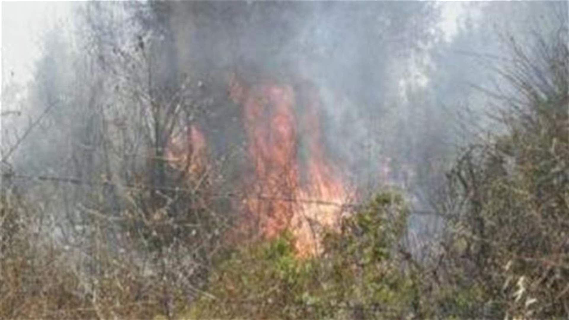 Huge fire erupts near Saint Elie Monastery in Jeita