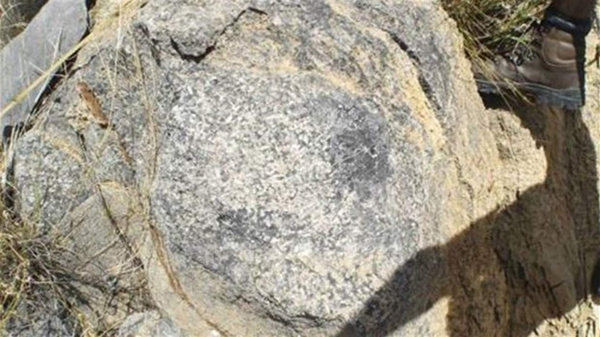 Reef madness: scientists find oldest animal-built marine structure