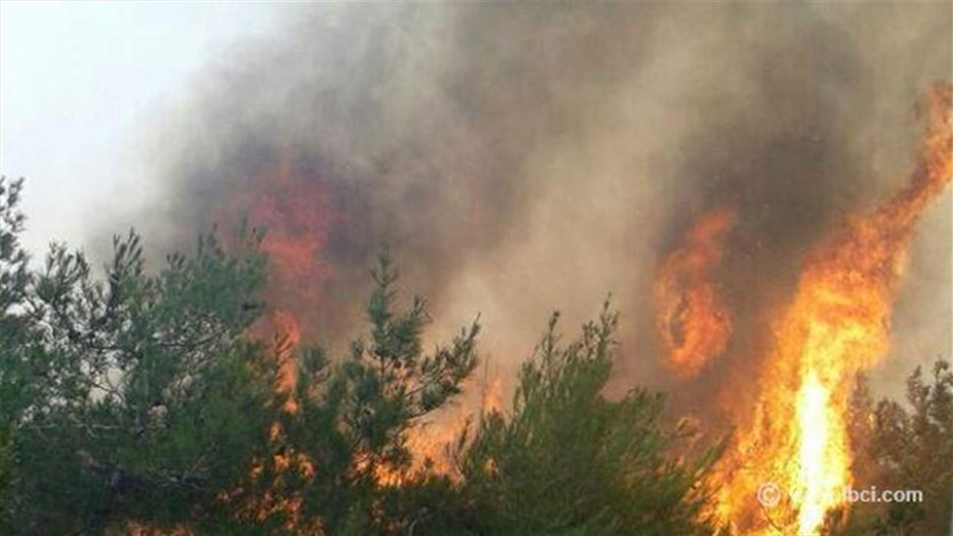LAF helicopter works on extinguishing Akkar wildfire 
