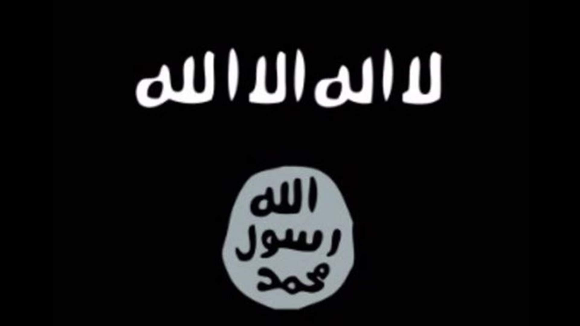 Islamic State leader al-Baghdadi possibly injured in military raid-sources