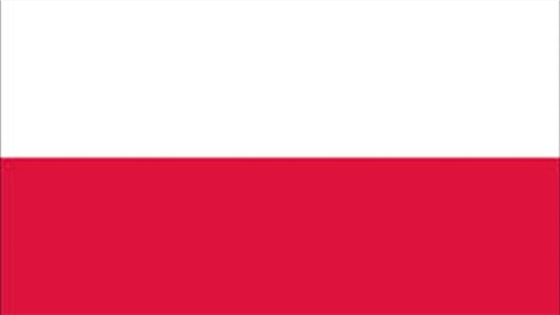 Eleven people feared killed in Polish plane crash