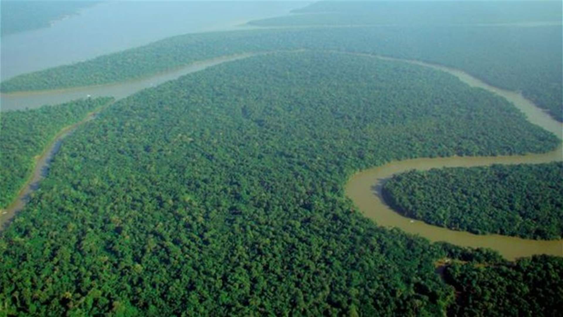 Amazon rainforest grew after climate change 2,000 years ago -study
