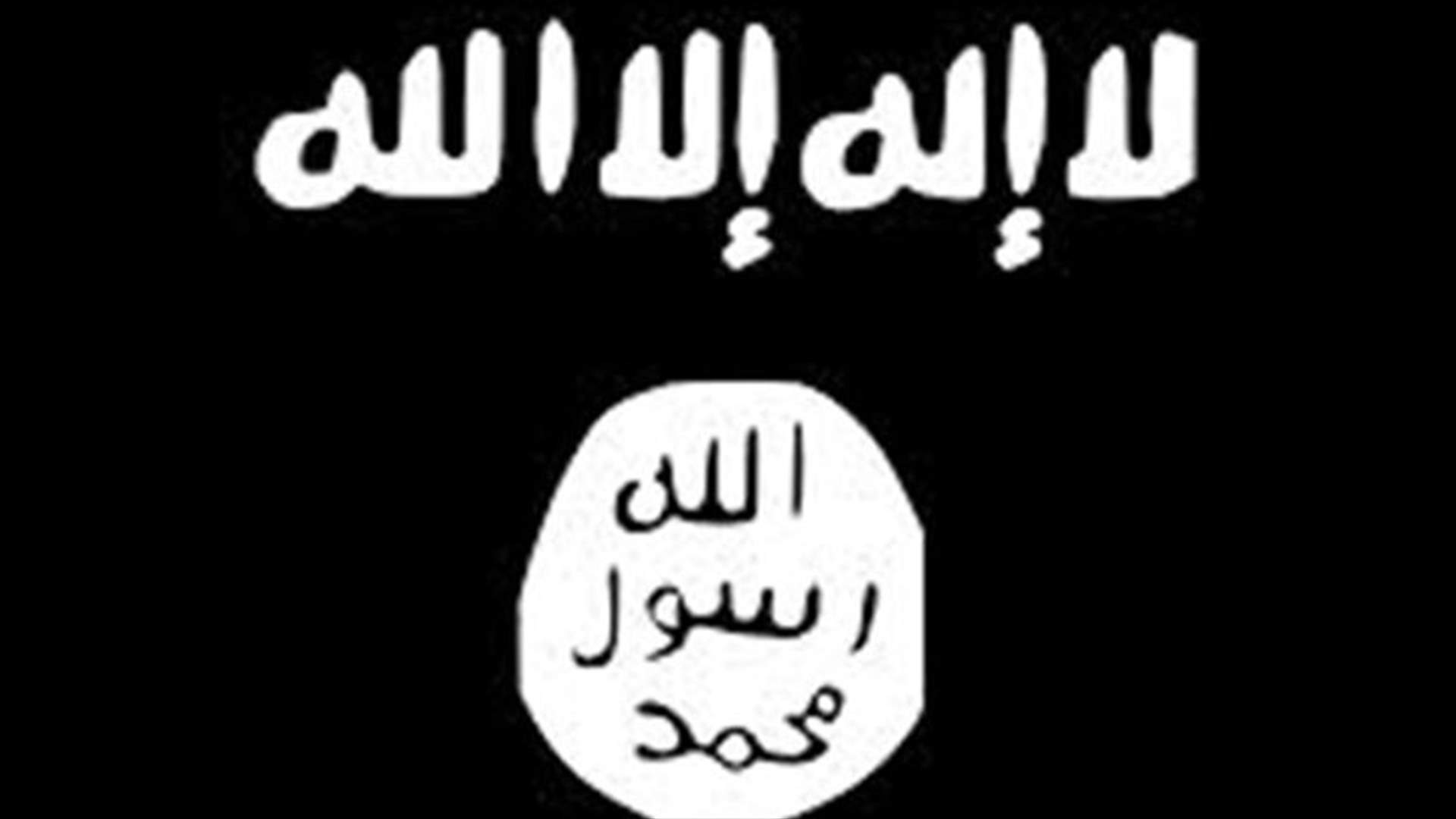 Islamic State appeals to only four percent of Syrians - poll