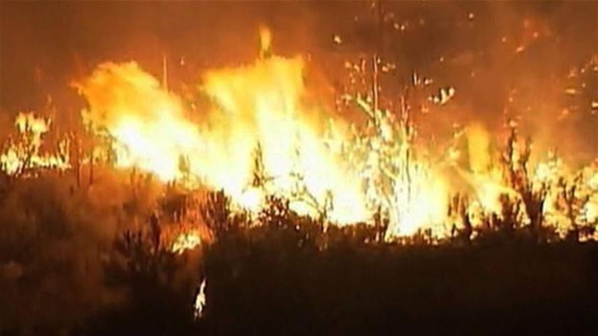 Washington state wildfire destroys 100 homes, hundreds evacuated