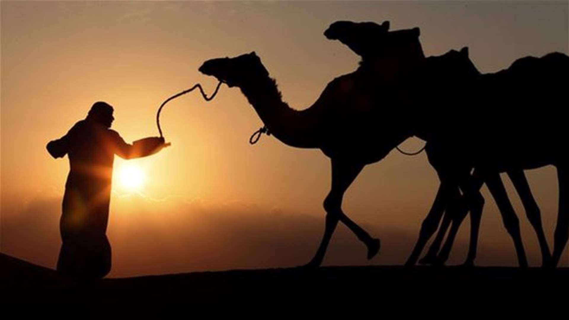 MERS virus detected in air samples from Saudi camel barn