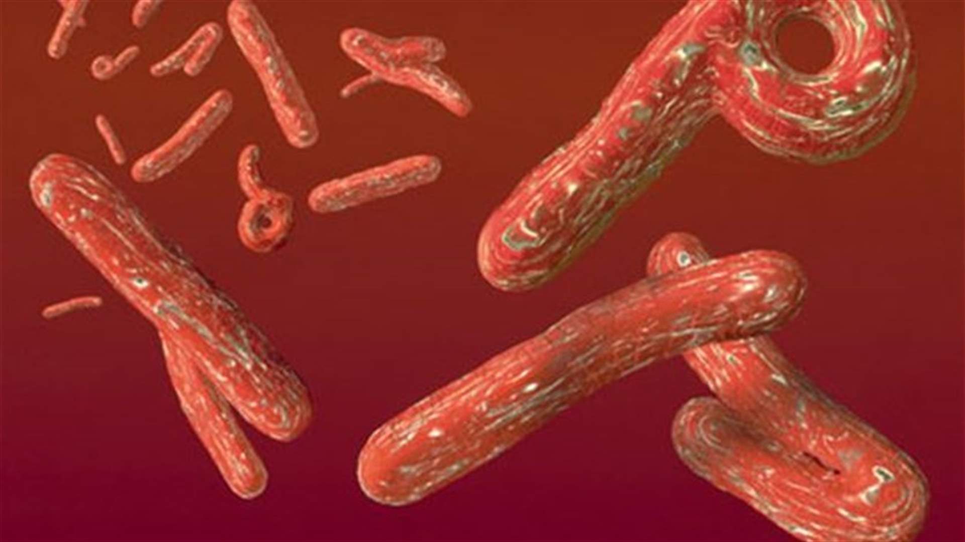 إصابة كبير اطباء مكافحة فيروس الايبولا في سيراليون بالمرض