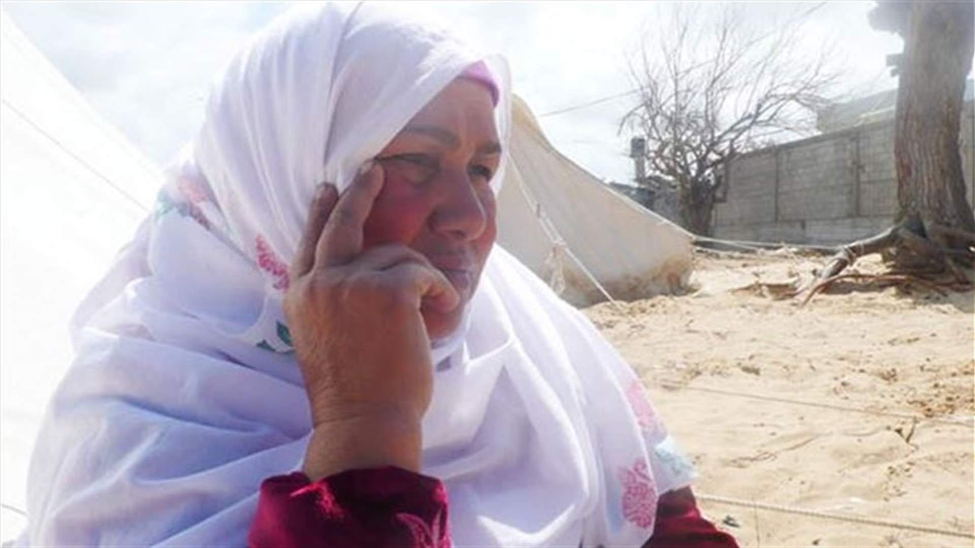 مطالبة بفصل بروفيسور دعا الى اغتصاب امهات واخوات المقاتلين الفلسطينيي