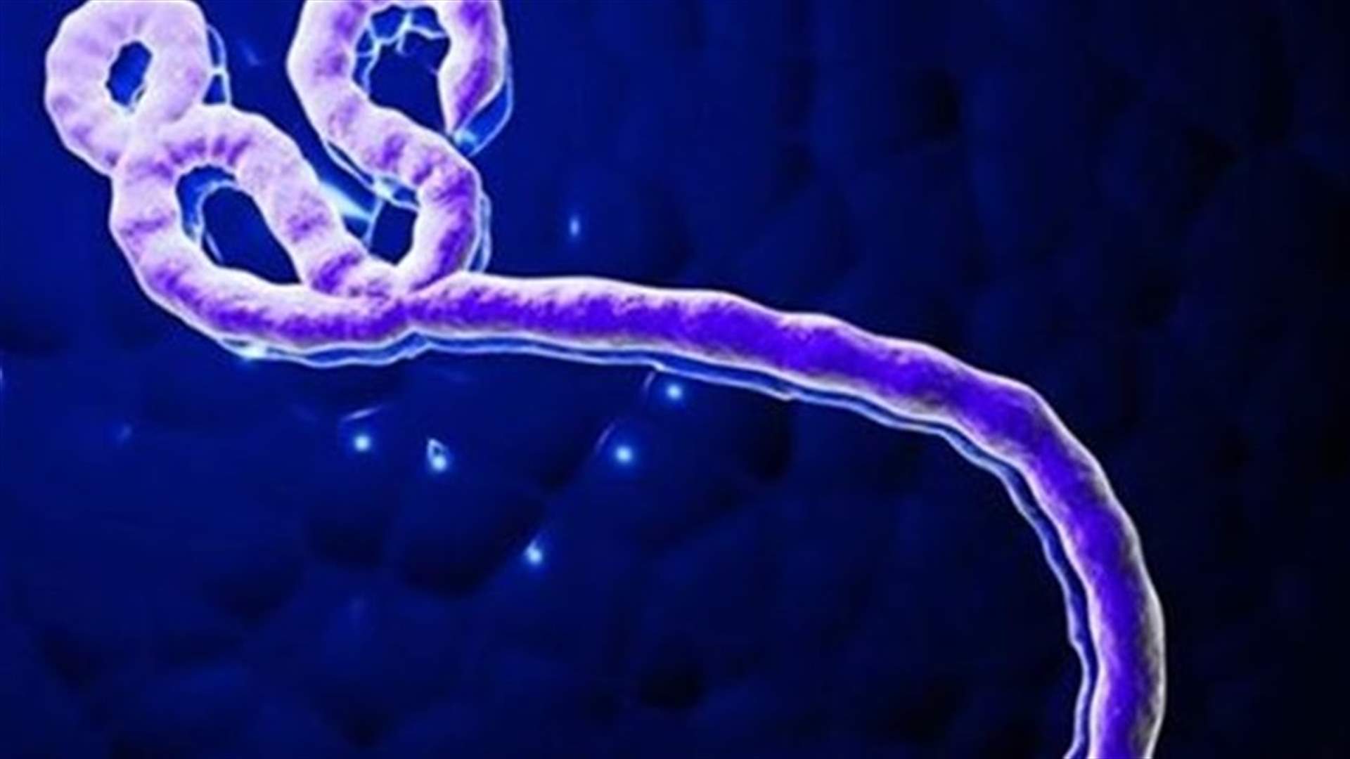 First Ebola victim in Sierra Leone capital on the run