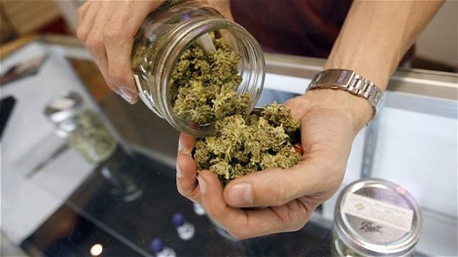 Legalizing pot has not spurred use among US teens -study
